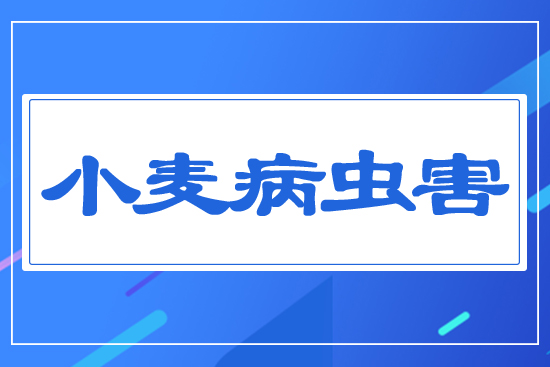 С�����x��