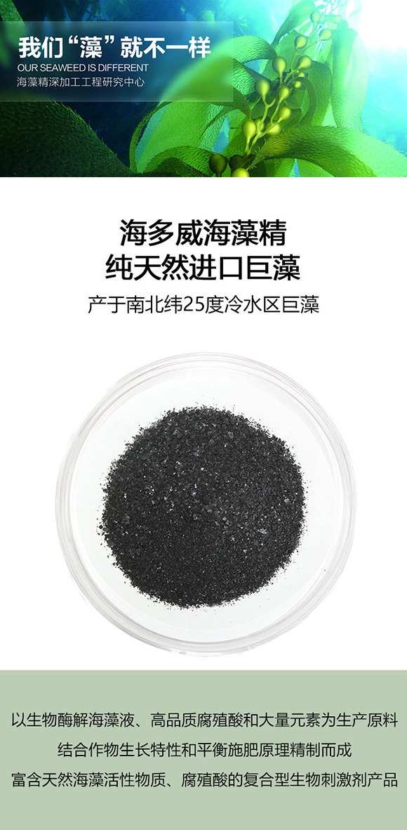 ���徫-����΢-��������4