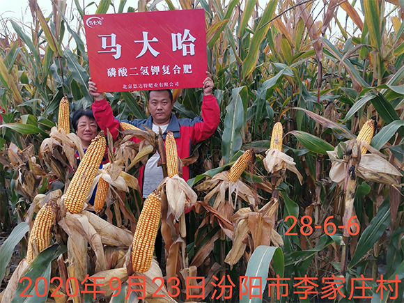 С����������������ȫˮ�܏ͺϷ���26-16-6-�R���-�r������6