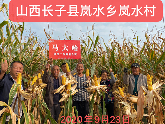 ���׌������������͏�(f��)�Ϸʷ���25-10-16-�R���-�r(n��ng)������5