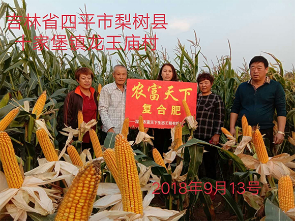 ���׌�������������ȫˮ�܏�(f��)�Ϸ���28-6-6-�R���-�r(n��ng)������5