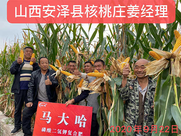 С����������������ȫˮ�܏ͺϷ���26-16-6-�R���-�r������4