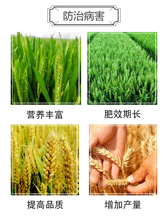 ����ˮ��Ĥ��ʧ�͏�(f��)�Ϸ���-����ʯ��_03