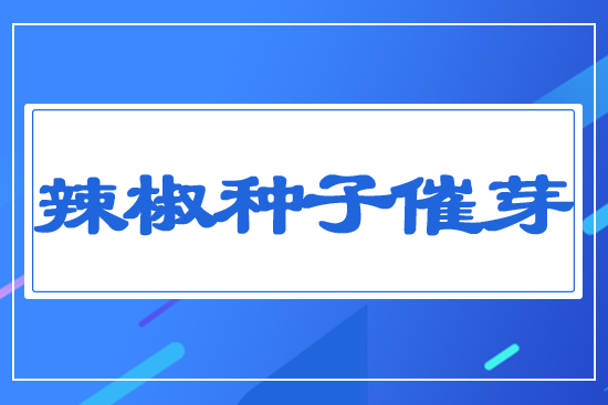 �����N�Ӵ�ѿ