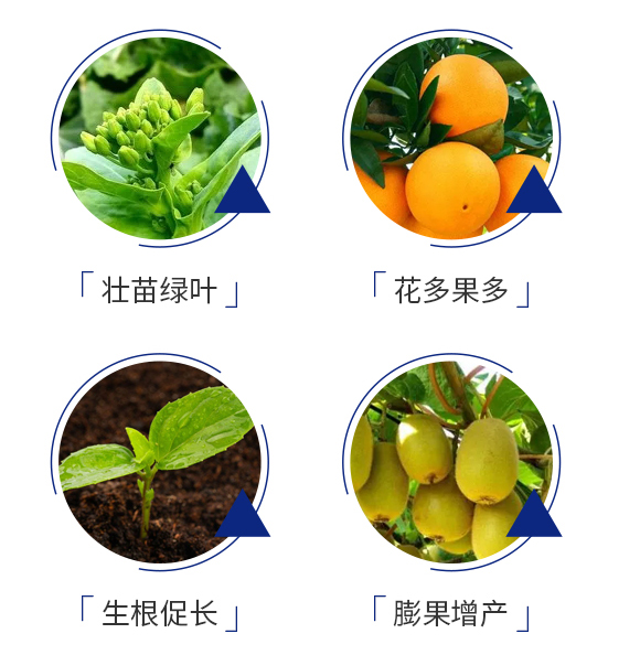 ���黨-�̠���_06