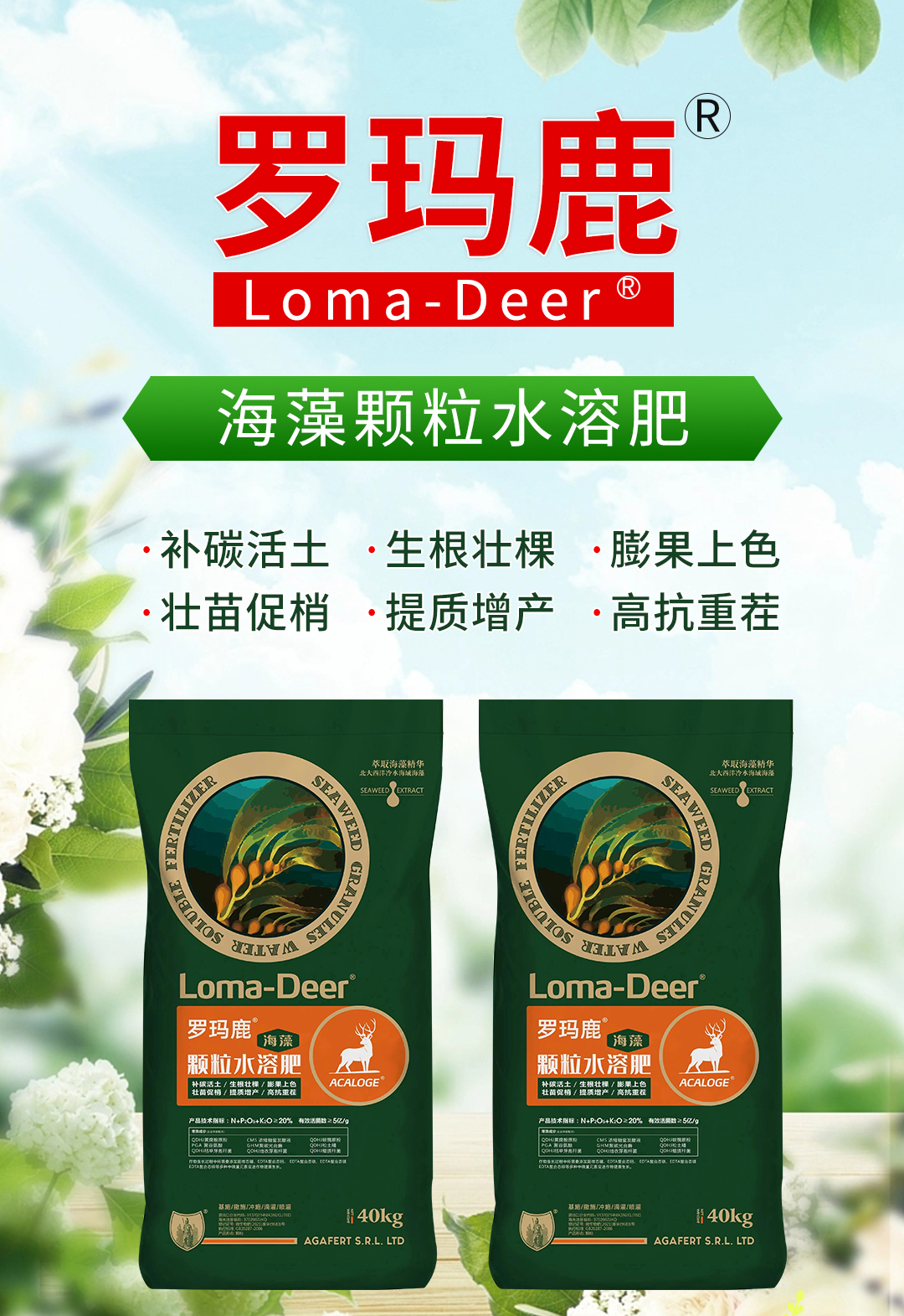 ���u���L�M(j��n)�������޹�˾03