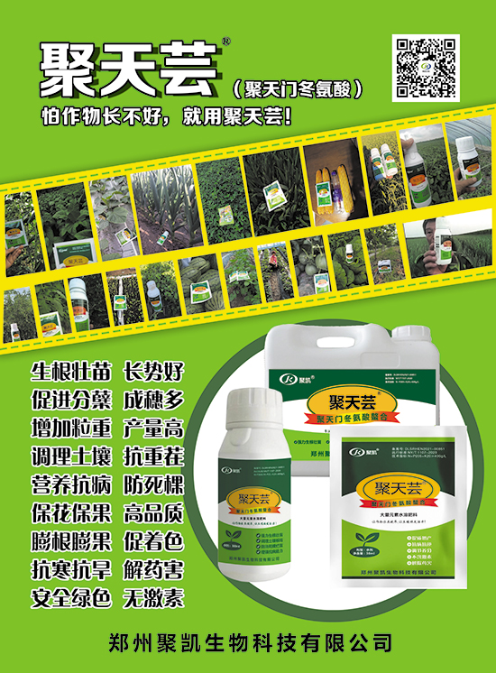 ΢�ňDƬ_20250419085813