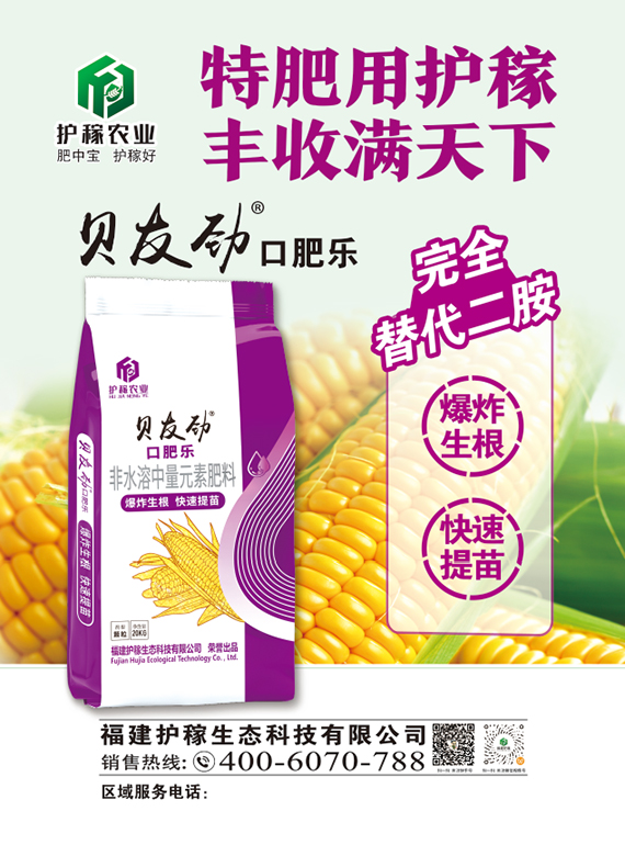 ΢�ňDƬ_20260107122522_12_2705