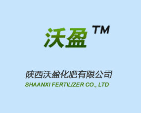 �������ӯ����Ƽ��ɷ����޹�˾