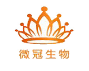 �ӱ�΢������Ƽ����޹�˾