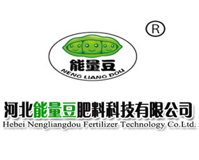 �ӱ����������ϿƼ����޹�˾