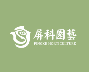 ���ƣ�����r�I(y��)�Ƽ����޹�˾