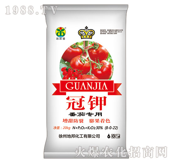 ���ь���-���-�ذ�Ȫ