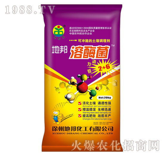 �ذ���ø��-�ذ�Ȫ