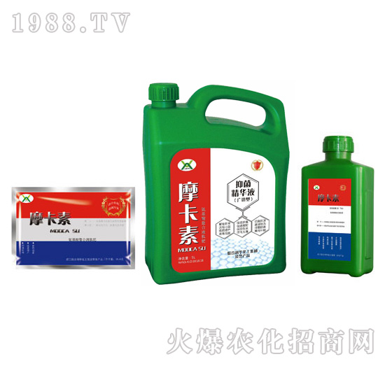 �V�V���־����AҺ���M�ϣ�-Ħ����-��о���H