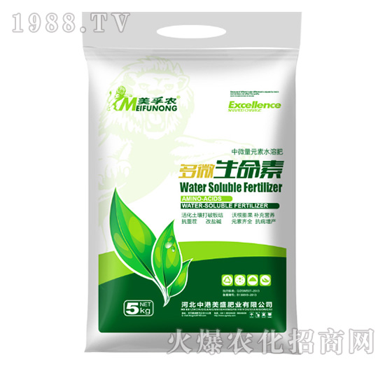 ��΢������