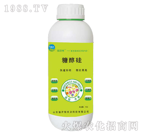 �Ǵ���-������-������