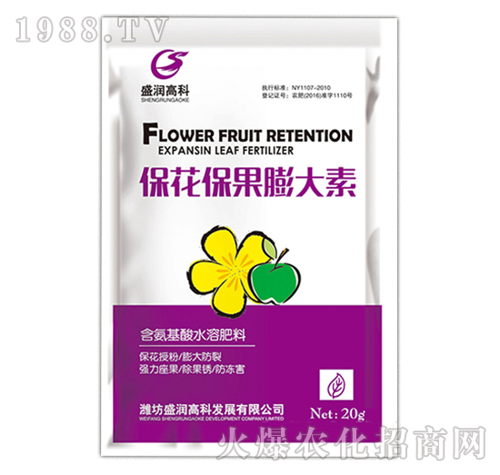 �������������-ʢ���߿�