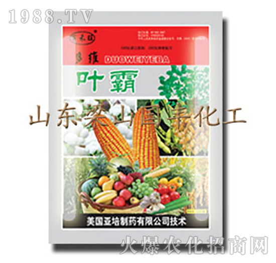 �~��-��ɽ��(gu��)�S