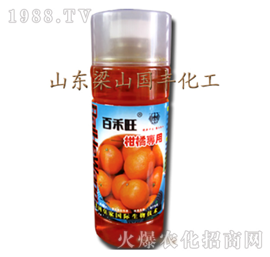 ���ٌ����~���-��ɽ��(gu��)�S