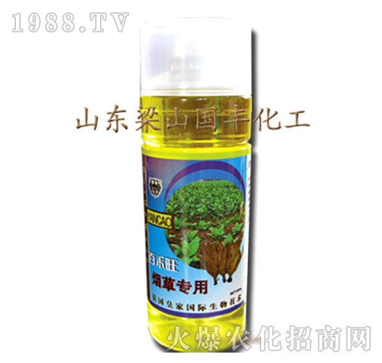 ���݌�(zhu��n)���~���-��ɽ��(gu��)�S