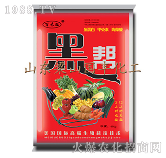 �ڎ�-��ɽ���S