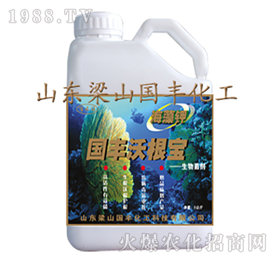 ���S�ָ���-��ɽ���S