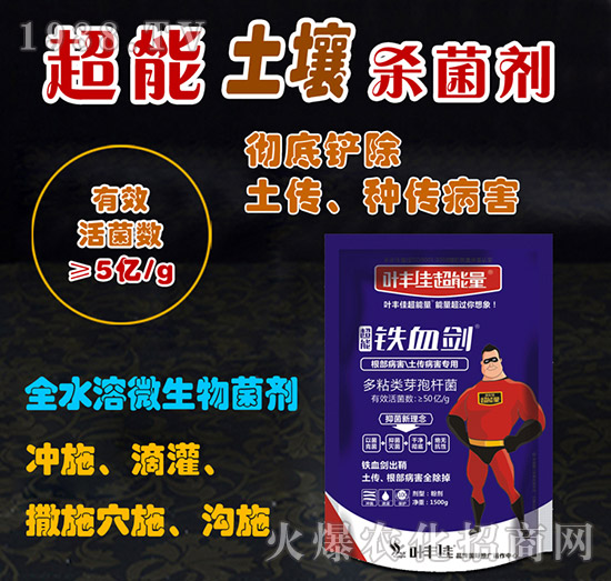 ����������������������-�FѪ��-�~�S�ѳ�����