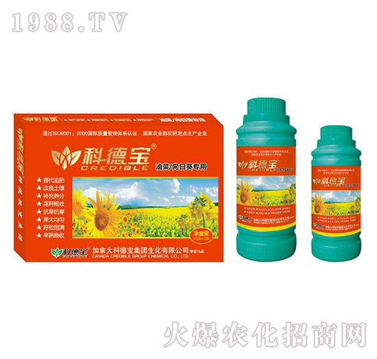 �Ͳ������տ����àI(y��ng)�B(y��ng)���a(ch��n)�{(di��o)�턩-�Ƶ�