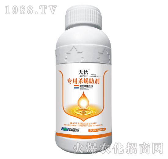 �M�ڌ��Ú�������-���-�����r