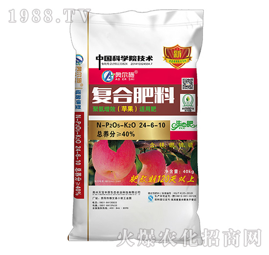 �O���ʏͺϷ���24-6-10--�쌚�S