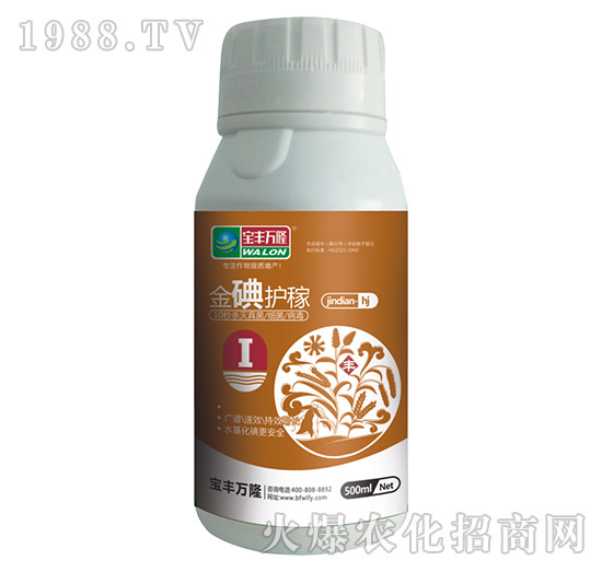 ����o��-���S�f¡