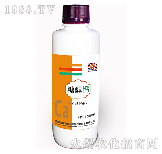 �Ǵ��}-�W��ɭ