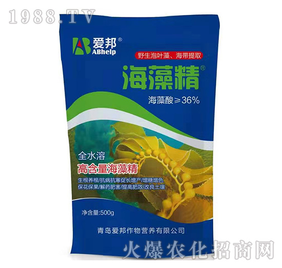 ���徫-�۰�