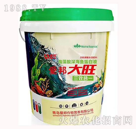 ��������~����Һ-����-��(��i)��