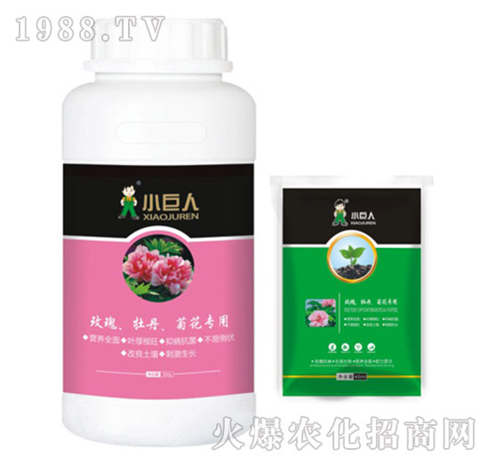 õ�塢ĵ�����ջ���(zhu��n)���{(di��o)��(ji��)��-С����