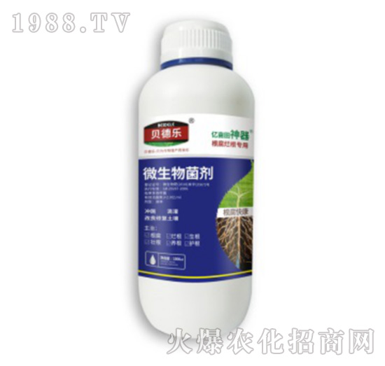 ����������(zhu��n)��΢�������-�����쿵-ؐ��(l��)