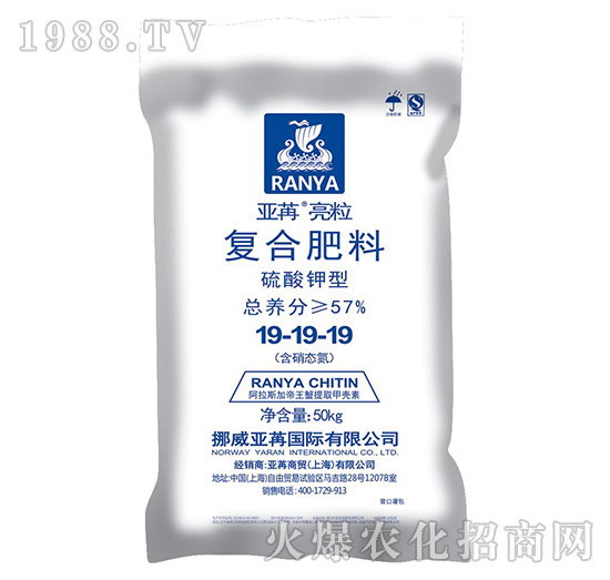 ������͏�(f��)�Ϸ���19-19-19-��������-���ۇ��H