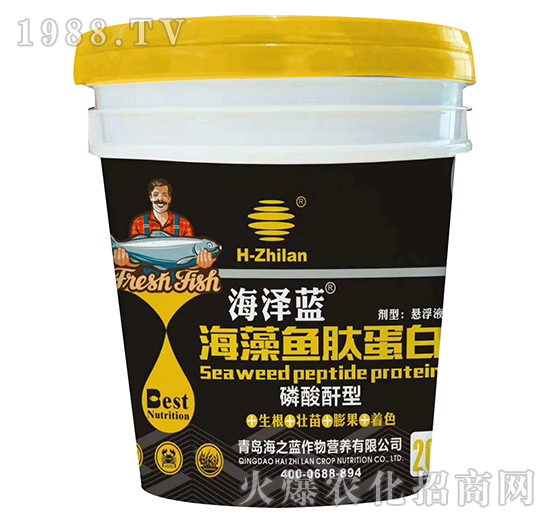 �������ͺ����~����-�����{(l��n)