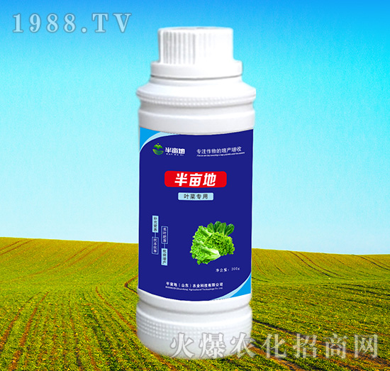 �~�ˌ����~���-�뮀��