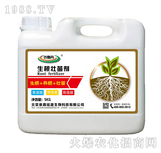 �������焩-�r�ص�-Ȫ�����