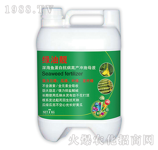 �G���n-ɽ������