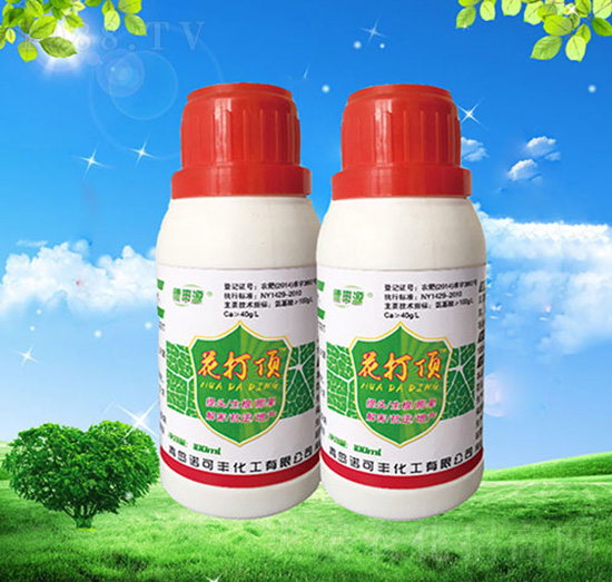 �����-�Z���S