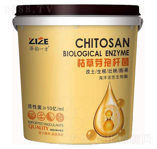 枯草芽孢桿菌-中農恒大