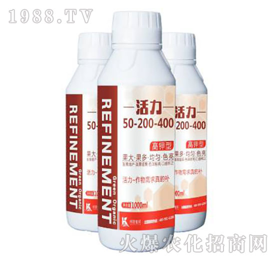 ���������50-200-400-����ֲ��