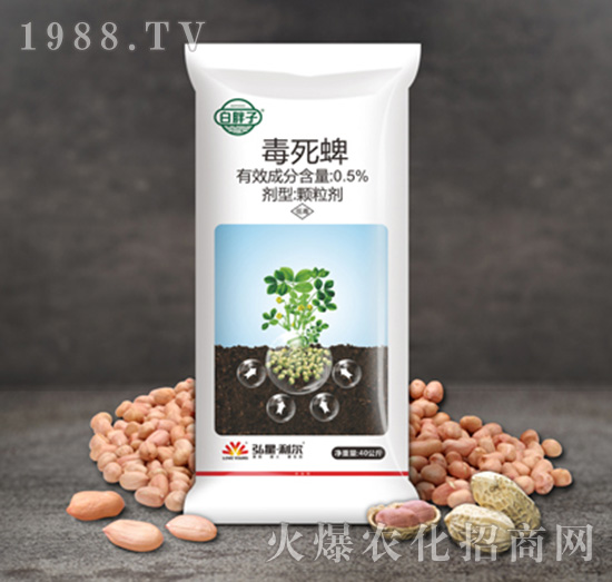 0.5%�����绨��ˎ��-������-С����