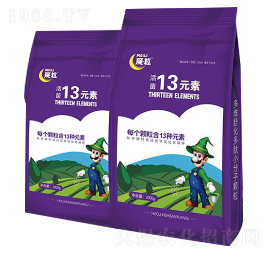 13Ԫ��-ħ���ʘI(y��)