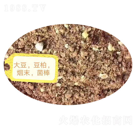 ������������ĩ��������-�Z�M�}(c��ng)