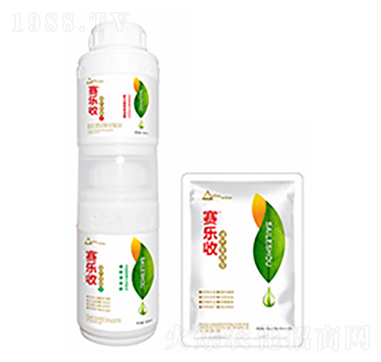 ���a(ch��n)��(zhu��n)�����b-ِ��(l��)��-�����Ƽ�