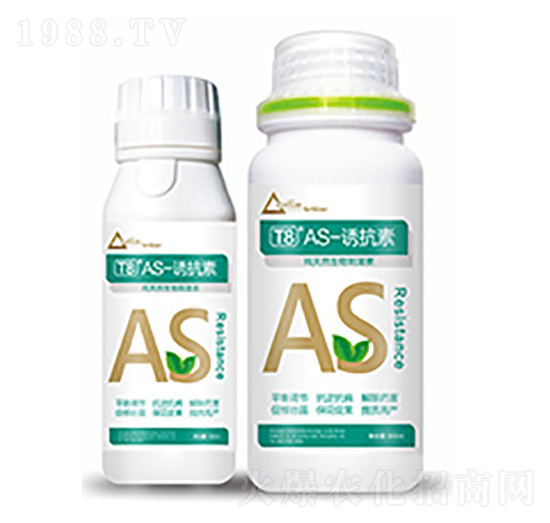 T8��AS-�T����-�����Ƽ�